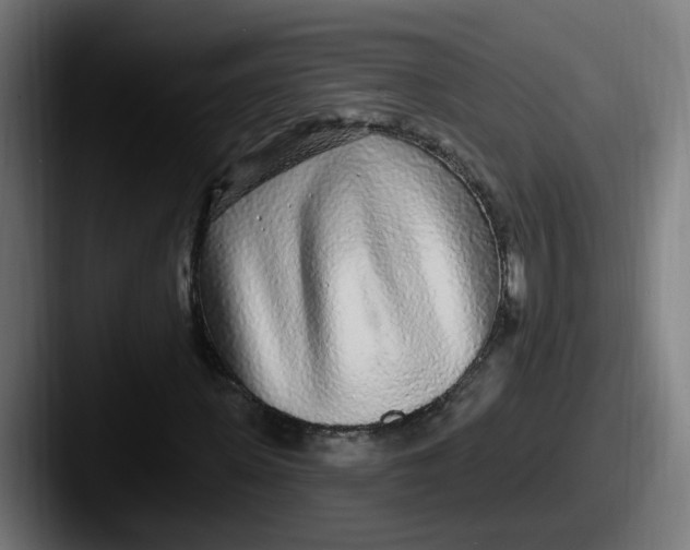 X0000087570915200705181140