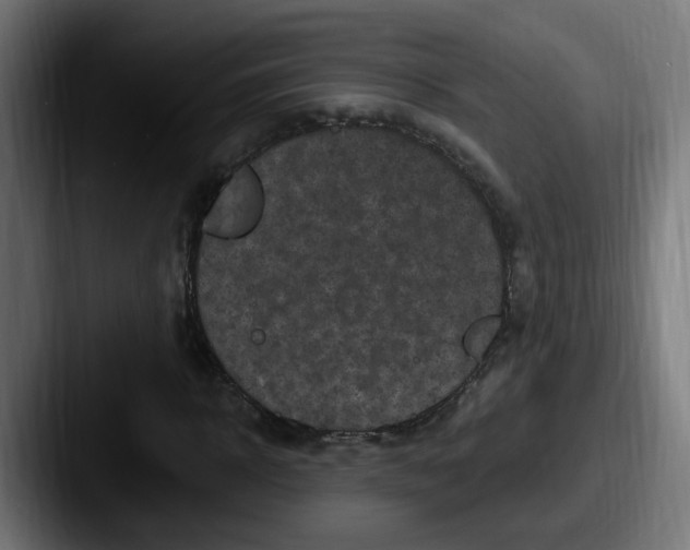 X0000087570918200705181140