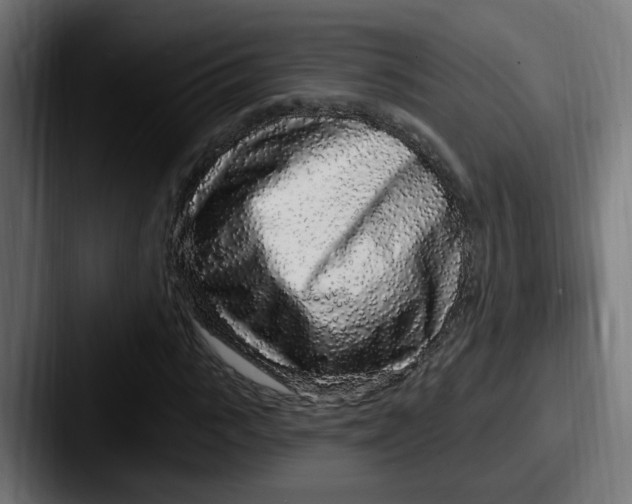 X0000087570919200705181140