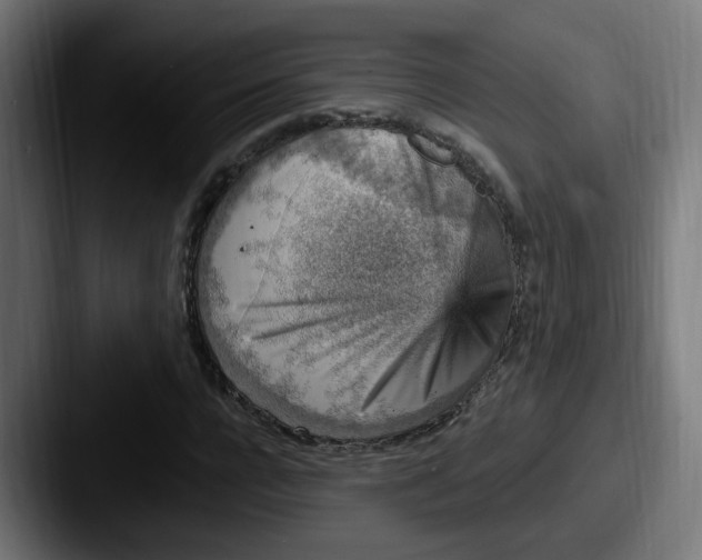 X0000087570920200705181140