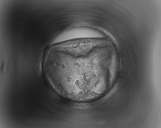 X0000087570921200705181140