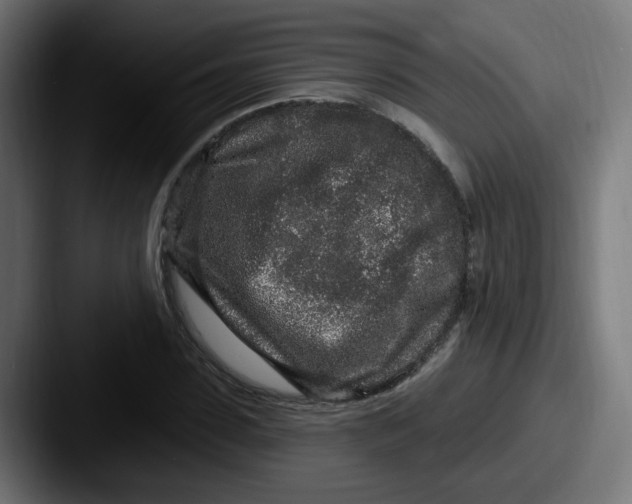 X0000087570923200705181140