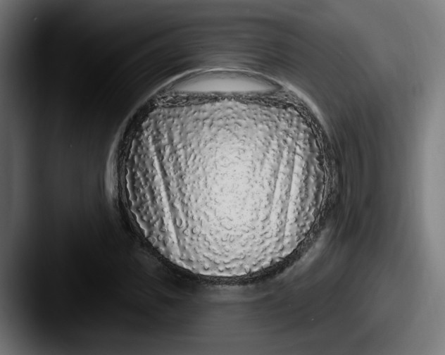 X0000087570925200705181140