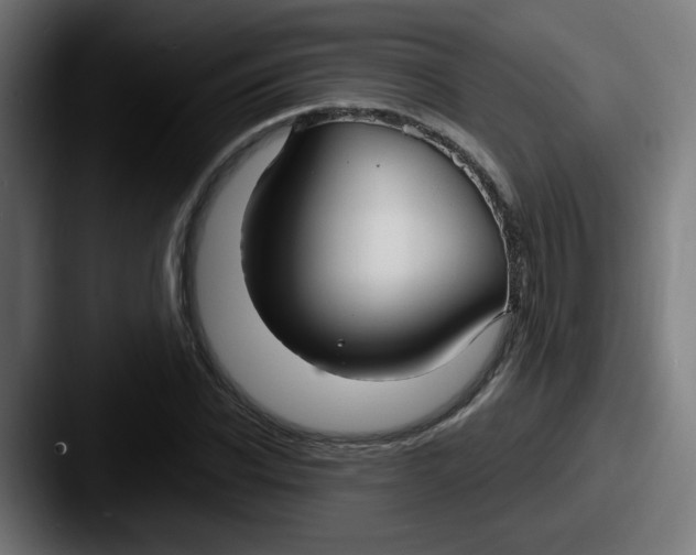 X0000087570926200705181140