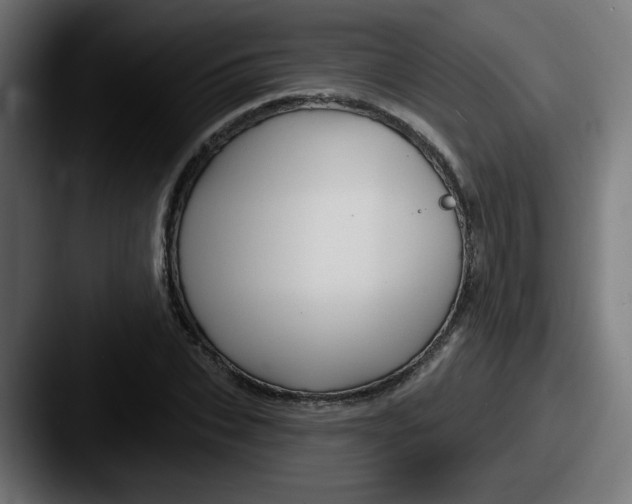 X0000087570927200705181140