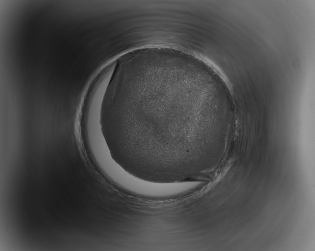 X0000087570928200705181140