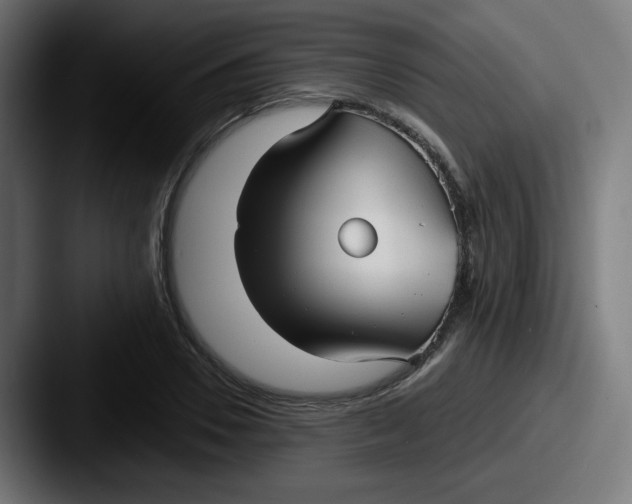 X0000087570930200705181140