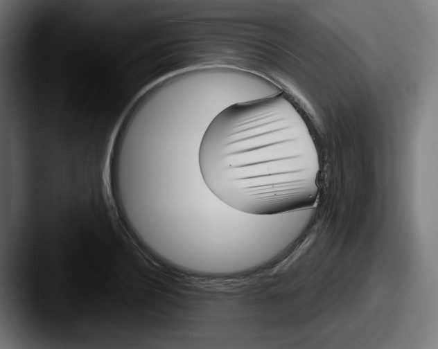 X0000087570932200705181140