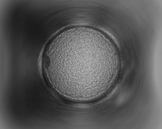 X0000087570933200705181140