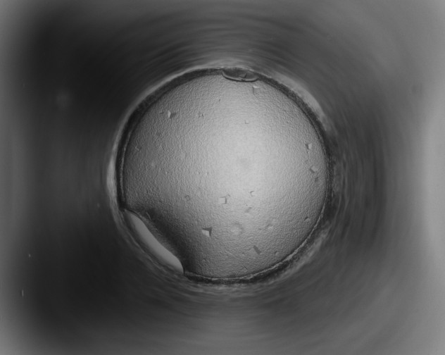 X0000087570936200705181140