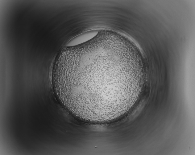 X0000087570937200705181140