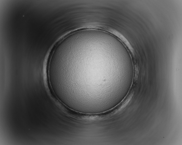 X0000087570939200705181140