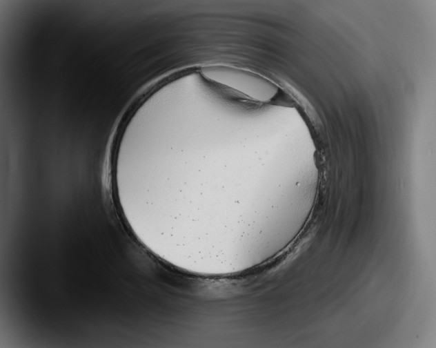 X0000087570940200705181140