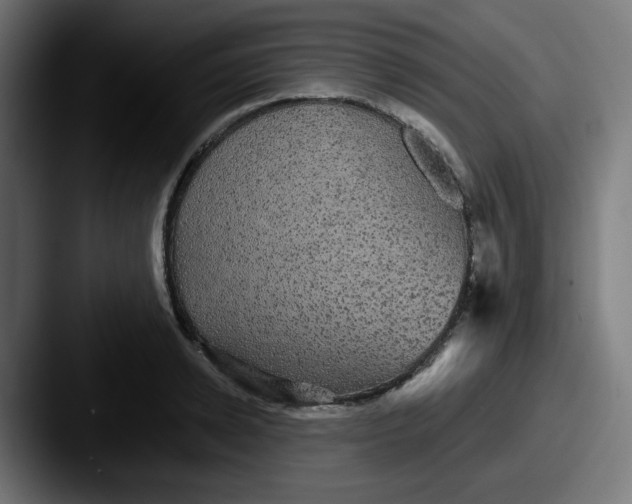 X0000087570942200705181140