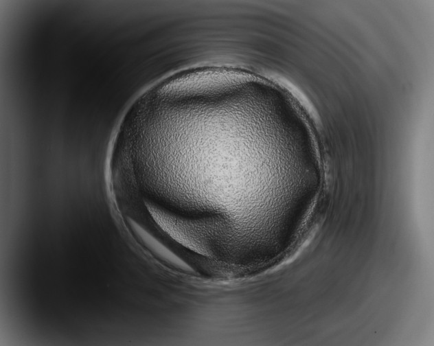 X0000087570944200705181140