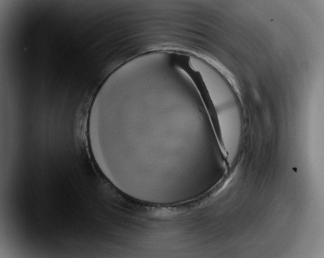 X0000087570945200705181140