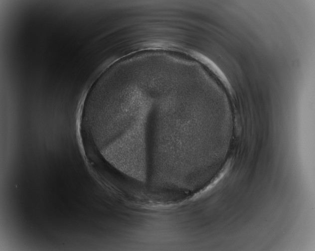 X0000087570946200705181140