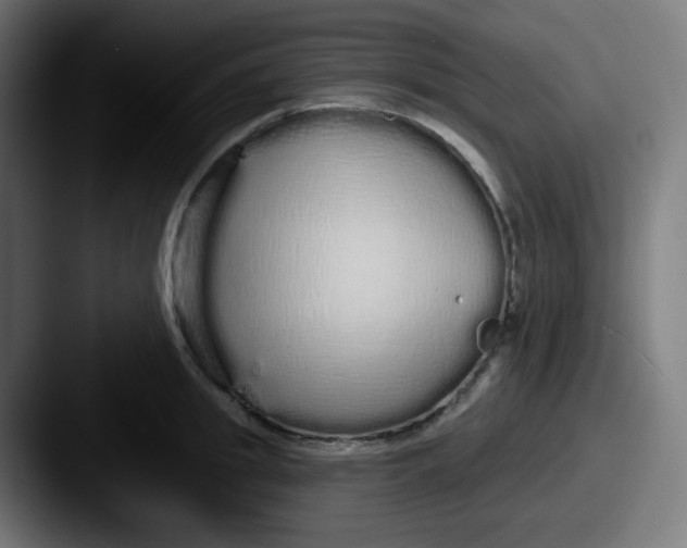 X0000087570949200705181140