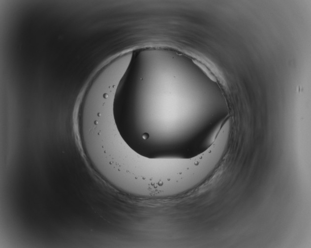 X0000087570950200705181140