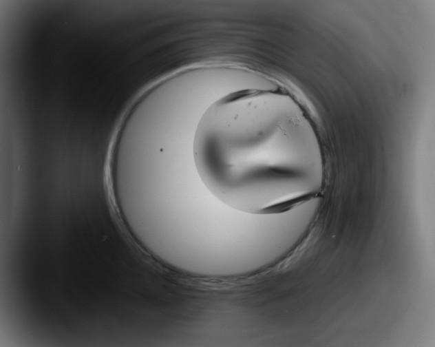 X0000087570952200705181140