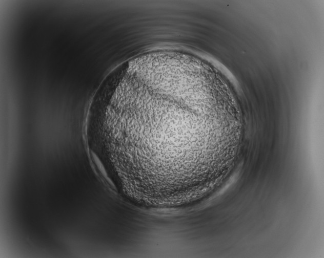 X0000087570953200705181140