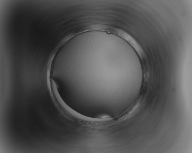 X0000087570954200705181140