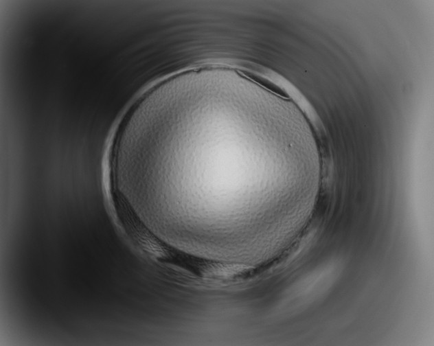 X0000087570955200705181140