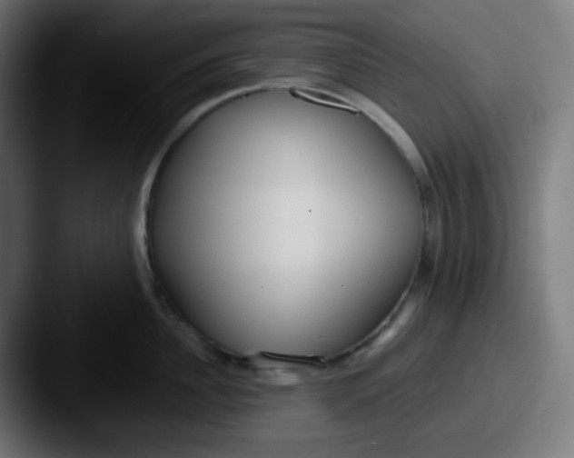 X0000087570956200705181140