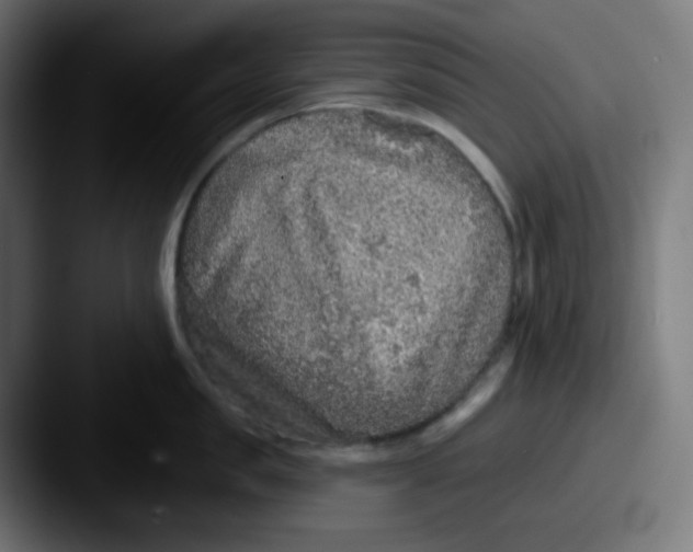 X0000087570957200705181140