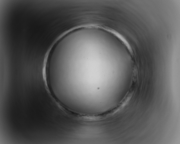 X0000087570959200705181140