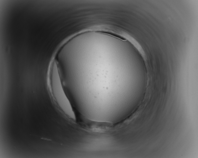 X0000087570960200705181140