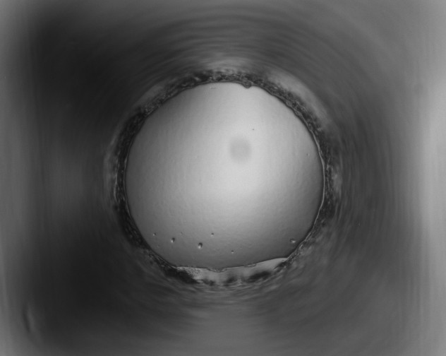 X0000087570968200705181140