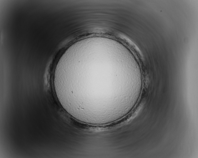 X0000087570970200705181140