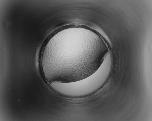 X0000087570972200705181140