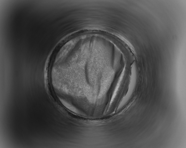 X0000087570976200705181139