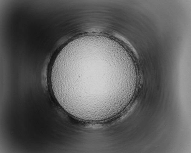 X0000087570978200705181139