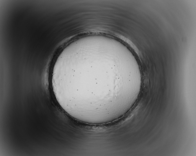 X0000087570979200705181139