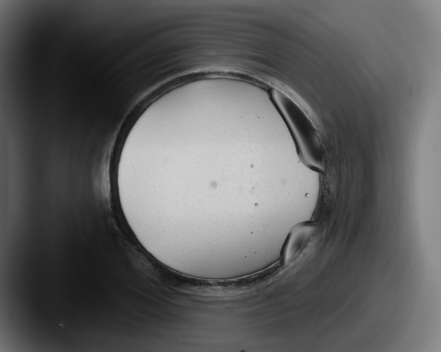 X0000087570980200705181139