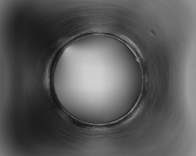 X0000087570981200705181139