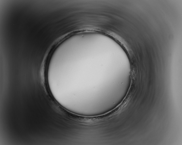 X0000087570987200705181139