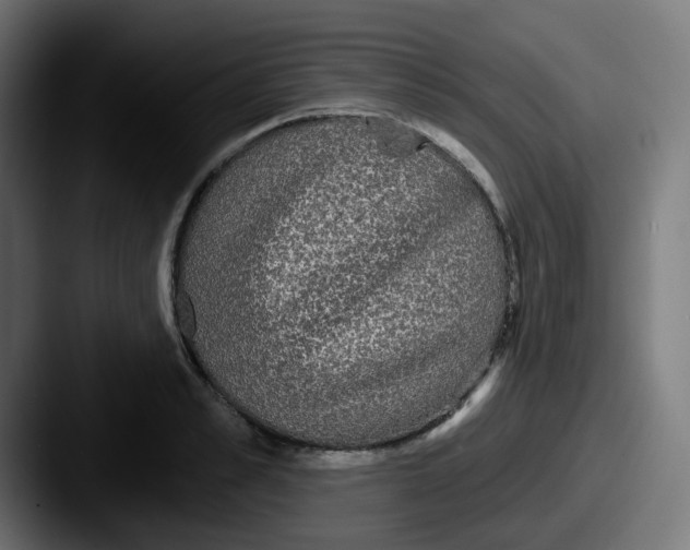 X0000087570989200705181139