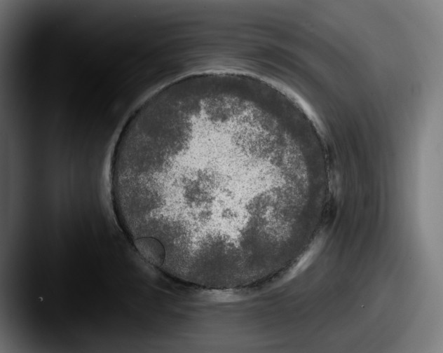 X0000087570990200705181139