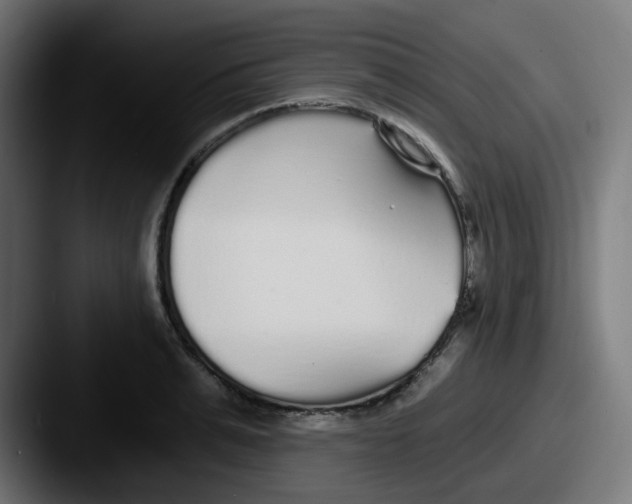 X0000087570991200705181139