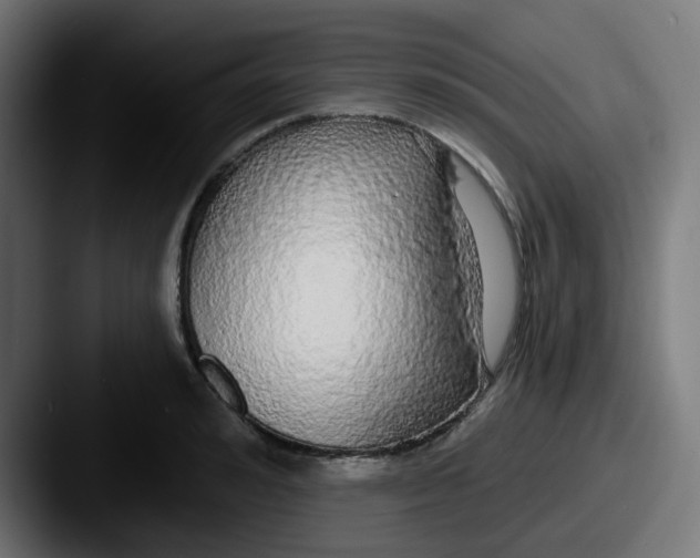 X0000087570992200705181139