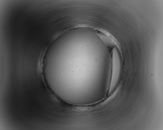 X0000087570993200705181139