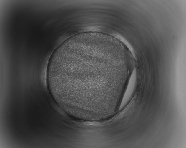 X0000087570994200705181139