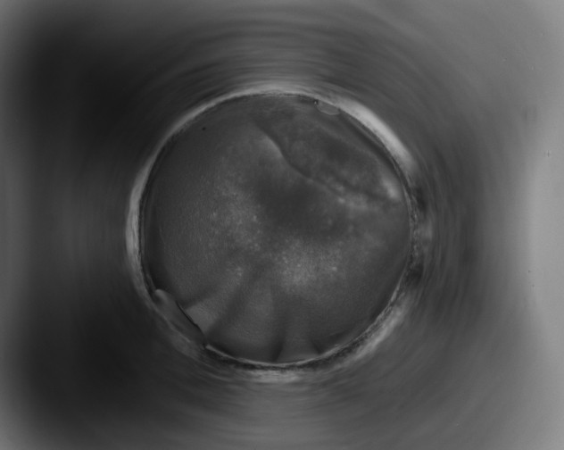 X0000087570996200705181139