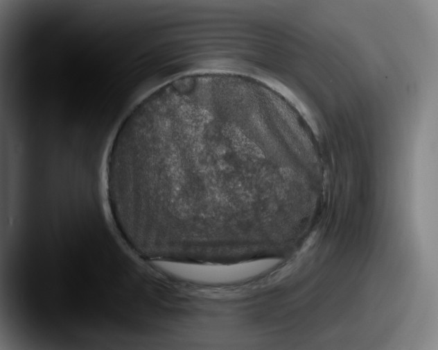 X0000087570998200705181139