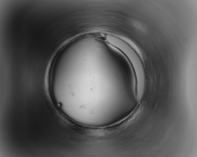 X0000087570999200705181139