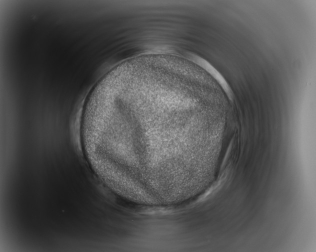 X0000087571002200705181139